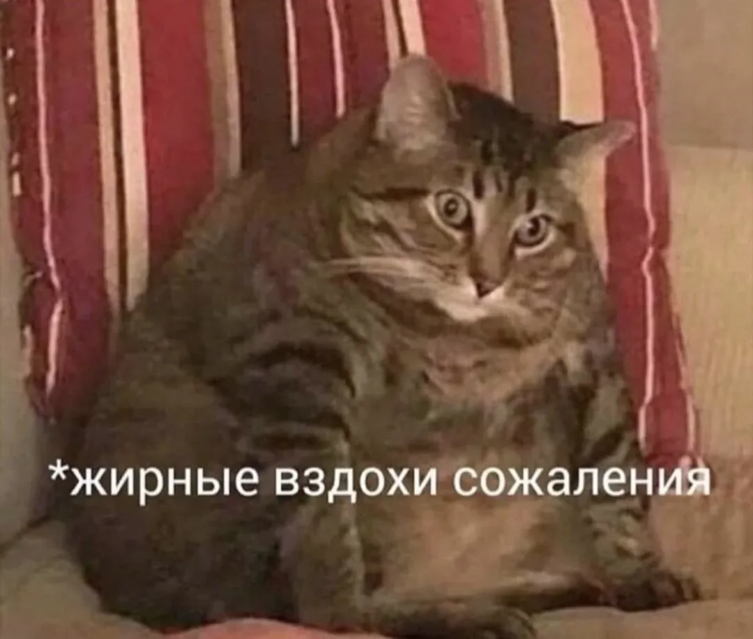 Кот: «Жирные вздохи сожаления»