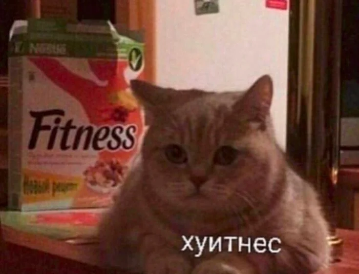 Обложка карточки «Нет времени объяснять. Просто худей!»