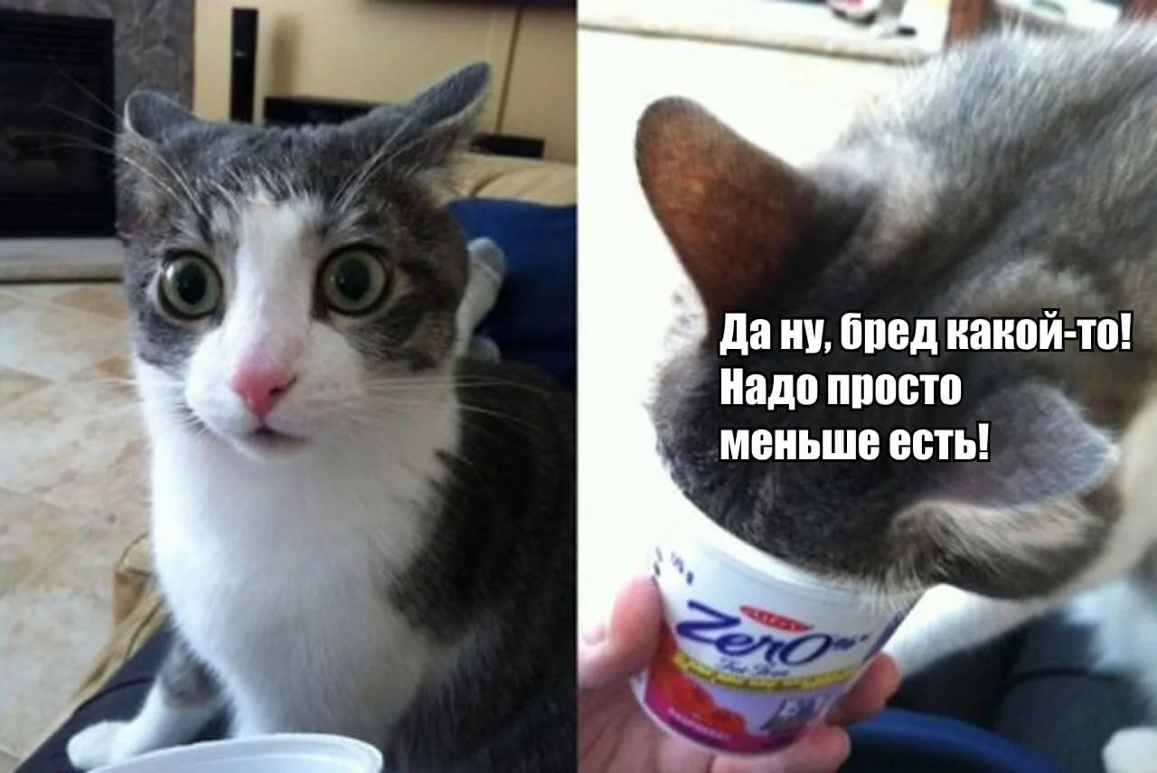 Мем с котом